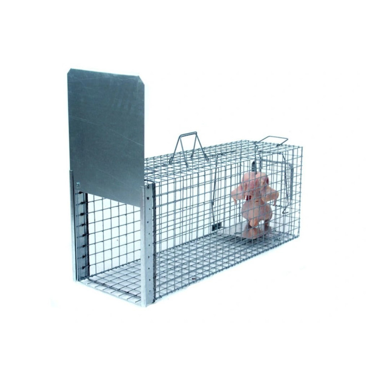 f325b8cb54b0336ac504a2a48492fe54