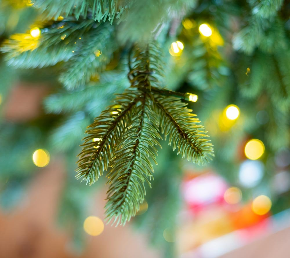 f6a2af5847369b73ab5a1d02d781d381