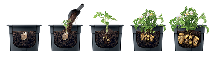 f6e0eea225f5e229d7933cae1b0847e2.img