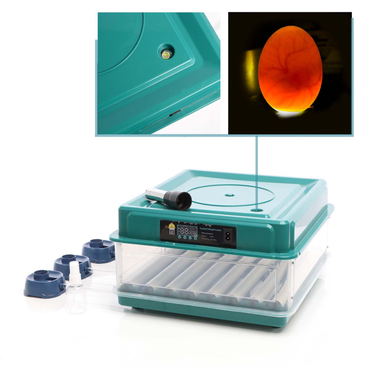 f7e553bbaf4b0e752318e4f9b4c0d618