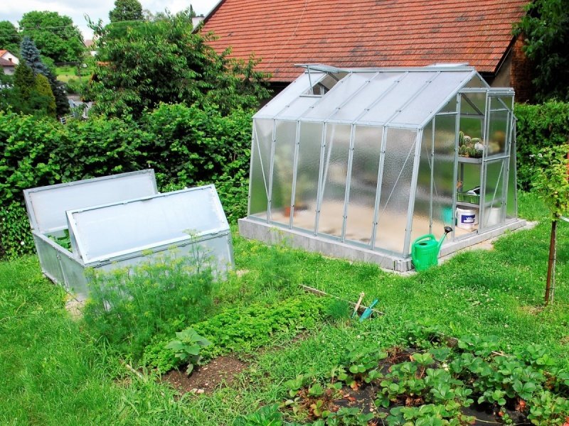 f8e30b70dcc4138c6e31e538cef24c32