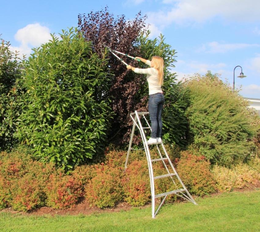 fb9de8cbf41580d40f5aa459fe43d9b3