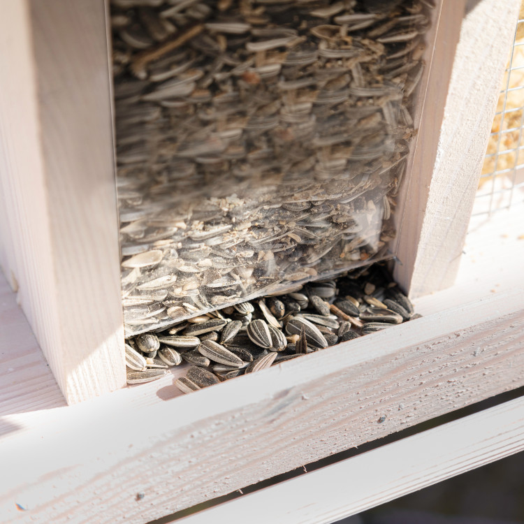 fc149d3c7dba96da31c63fbf53dde244