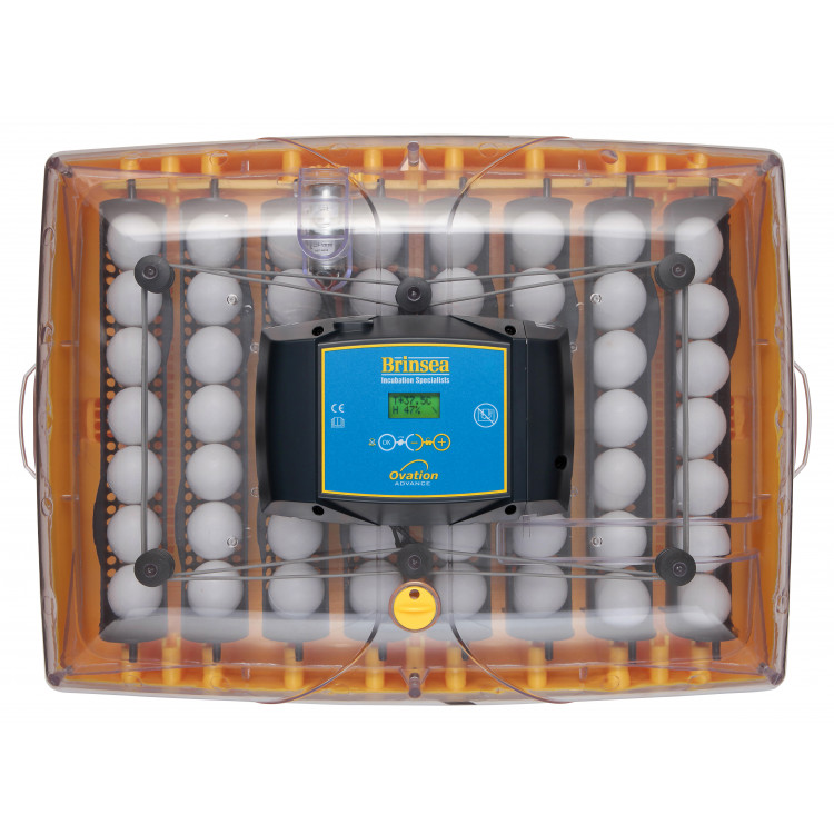 fe0793cf87581c88f46f3af17f303b19