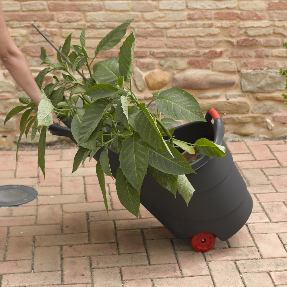 fe4521230c87d1ea47dda787b9a0bad0